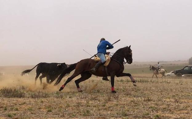 Un centenar de caballistas participan en el encierro por el campo de Bolaños