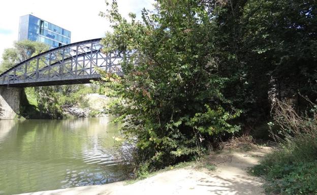 Una senda permitirá recorrer un kilómetro al borde del río desde el parque Bolaños de Valladolid