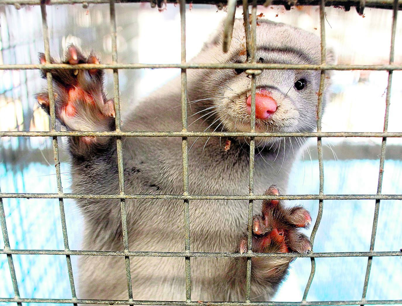 Adolfo García Ortega El Norte de Castilla
