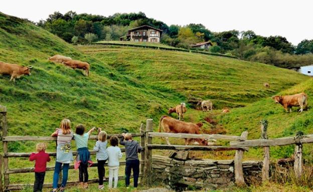 Bosques, viñedos y el misterio de descubrir Navarra en otoño