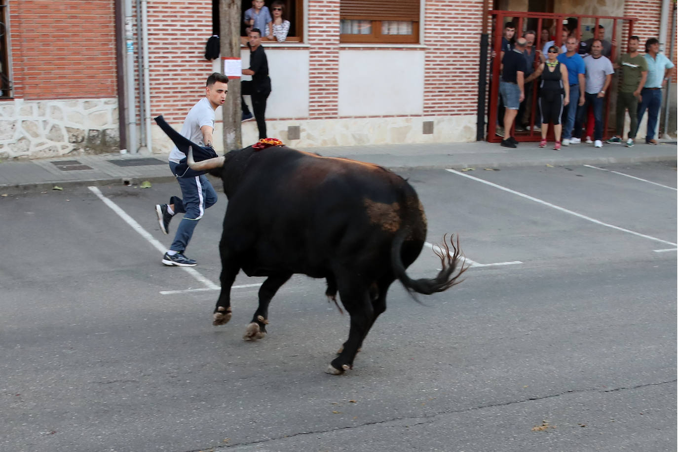 Toro del Verdejo de Rueda
