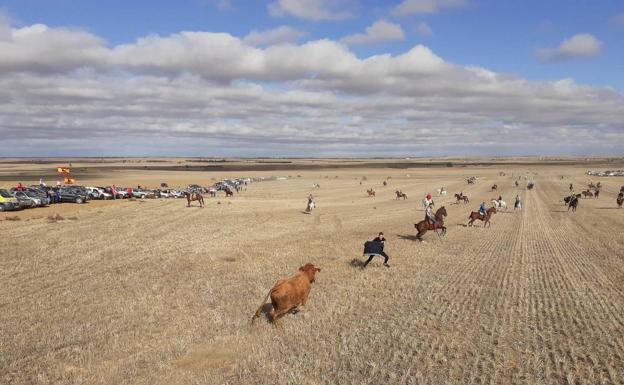 Más de 130 caballistas participan en el encierro campero de Tordehumos