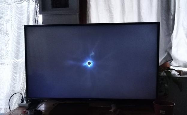 Pánico en la Red: ¿El final de Fornite?