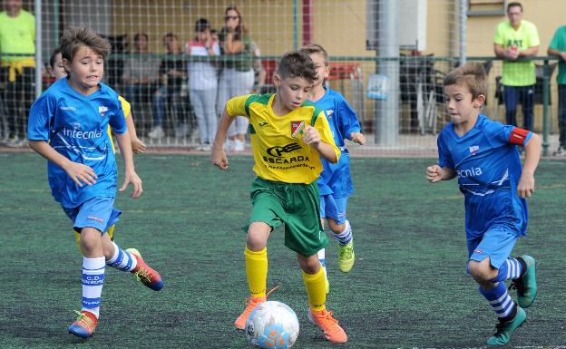 El Pedrajas golea a un voluntarioso Don Bosco B