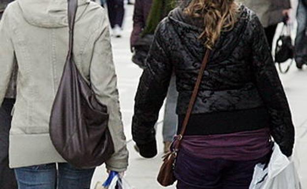 Detenido por robar el bolso de un tirón a una mujer en Valladolid