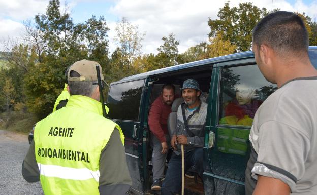 La Junta decomisa más de 3.000 kilos de setas y denuncia a 107 personas por recolección ilegal en un mes de campaña micológica