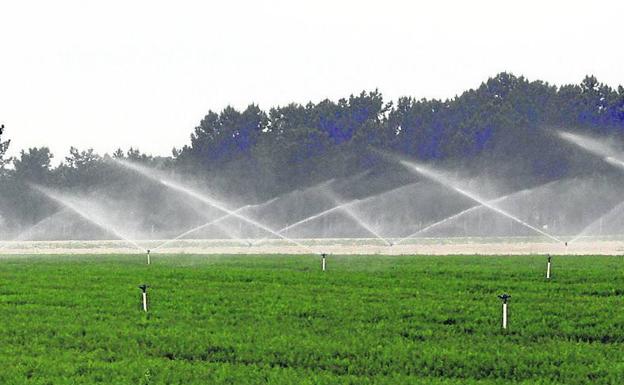 Olombrada acoge una jornada sobre la titularidad agraria compartida