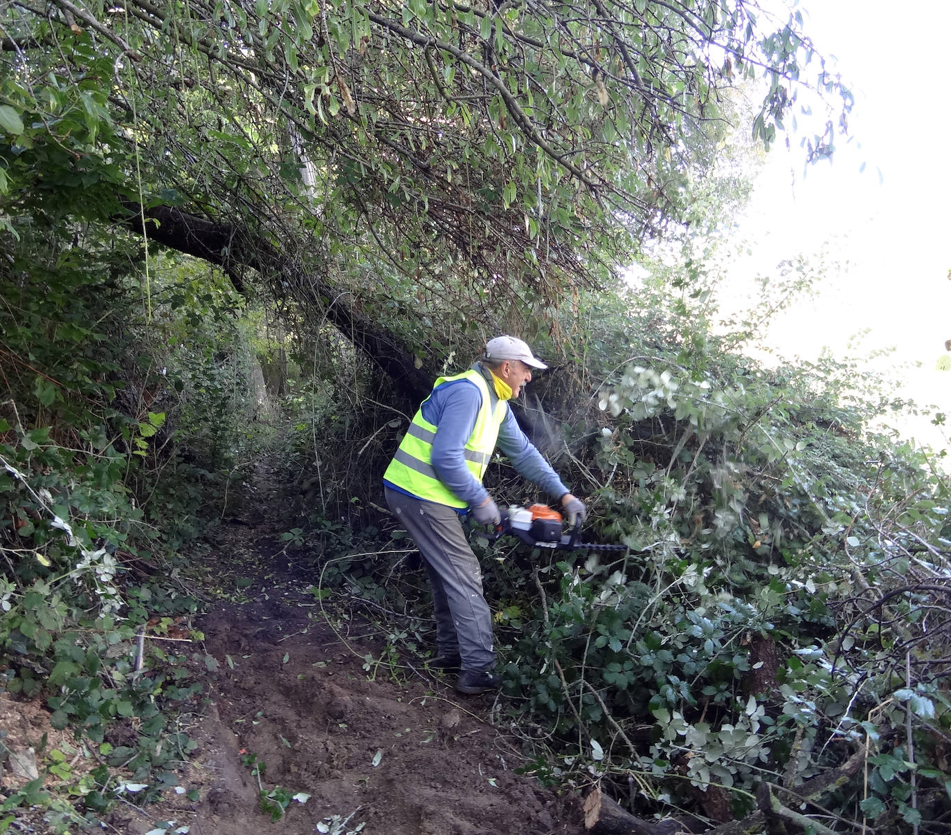 Las imágenes de la limpieza de la senda del Pisuerga