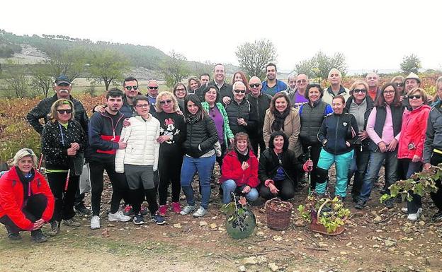 40 vecinos participan en la rebusca en Mucientes