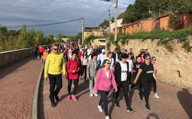 La marcha mirobrigense de Asprodes logra ser un año más un día festivo y de reconocimiento