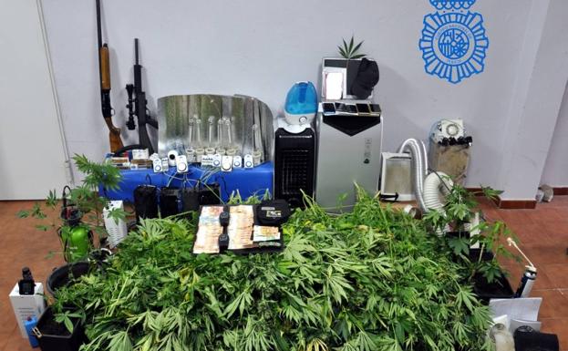 Desmantelan una plantación de marihuana bajo techo y detienen a cuatro personas