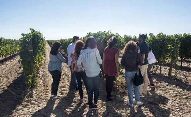 La Ruta del Vino de Rueda se vuelca con el Día Europeo del Enoturismo, el 10 de noviembre