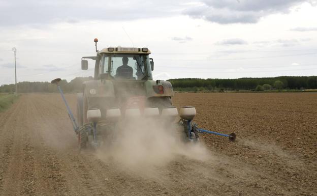 Reciclar más residuos agrarios