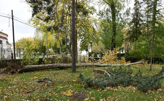 La Pinilla registra rachas huracanadas de hasta 120 kilómetros por hora