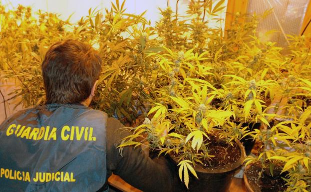 Unos 85 kilos de droga incautada se destruirán este año en la provincia