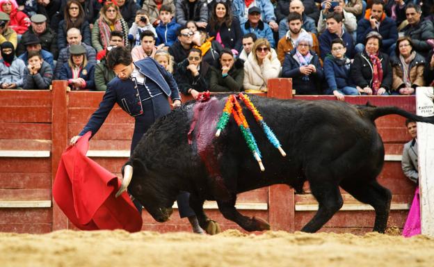 Morante, El Juli y Manzanares, en los carteles del próximo Carnaval de Ciudad Rodrigo