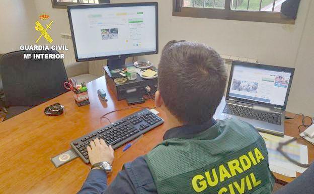 Desmantelada en León una organización criminal que estafó 6.900 euros a una leonés mediante 'SIM swapping'