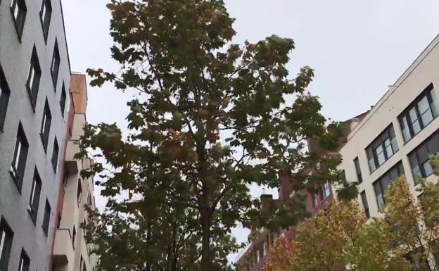 Descubre de qué calle de Valladolid se trata