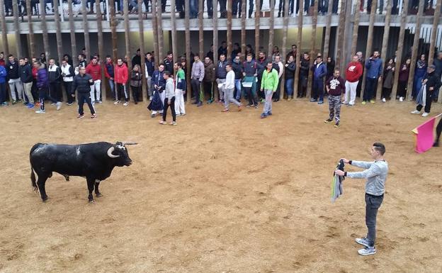 Planes imprescindibles para este fin de semana en la provincia de Valladolid