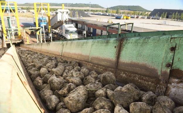 Acor confirma el peor ejercicio de su historia con pérdidas de casi 14 millones