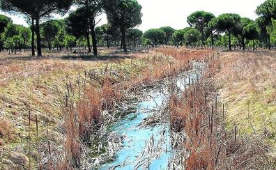 Hornillos de Eresma El Norte de Castilla