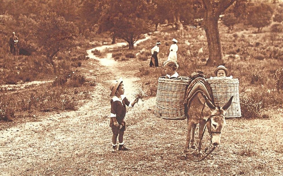 La memoria del campo