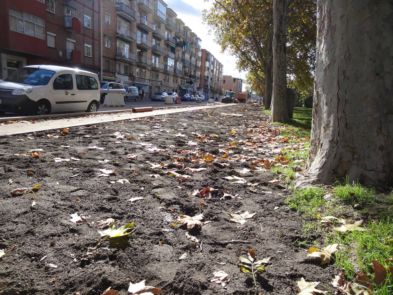 Reforma en Arca Real y el Parque de la Paz