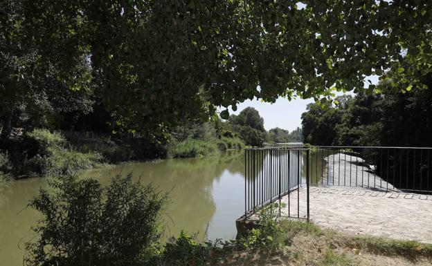 La Junta potenciará el Duero y los congresos para atraer visitas