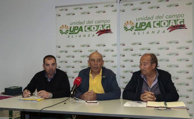 COAG denuncia un «ataque solapado» de administraciones y colectivos al sector apícola