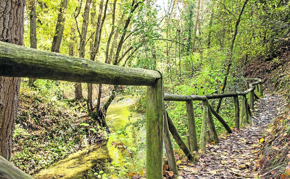 Rutas: la pesca del buey en Cuéllar