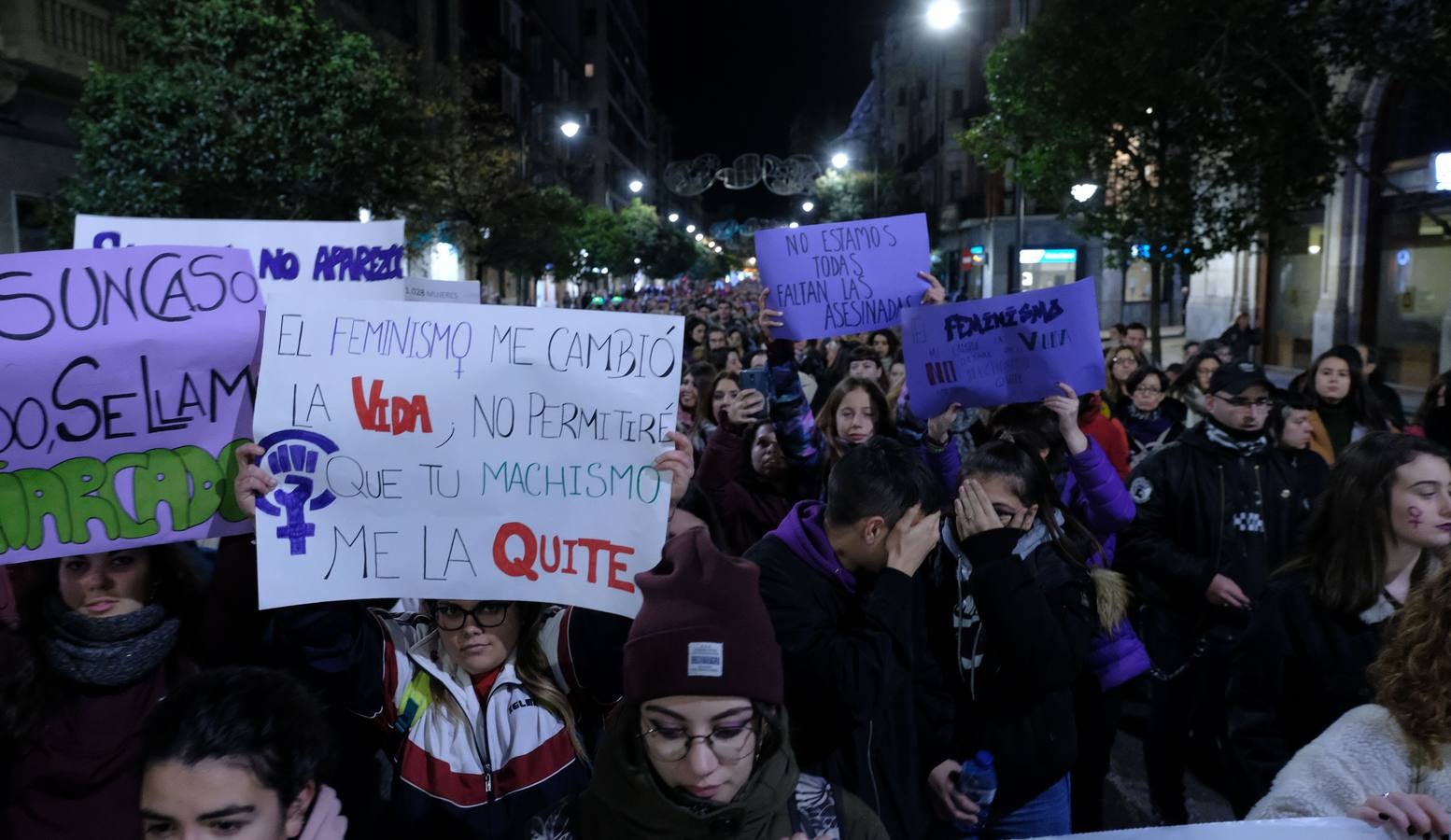 Manifestación en Valladolid en el Día Internacional de la eliminación de la Violencia contra la Mujer