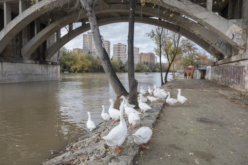 Valladolid cierra un noviembre a la gallega con 25 días de 30 con lluvias