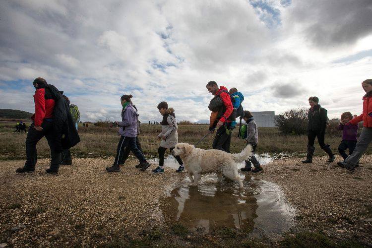 Las imágenes del día en Castilla y León