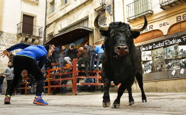 Estudian el traslado del concurso de cortes de carnaval de Ciudad Rodrigo a la plaza Mayor