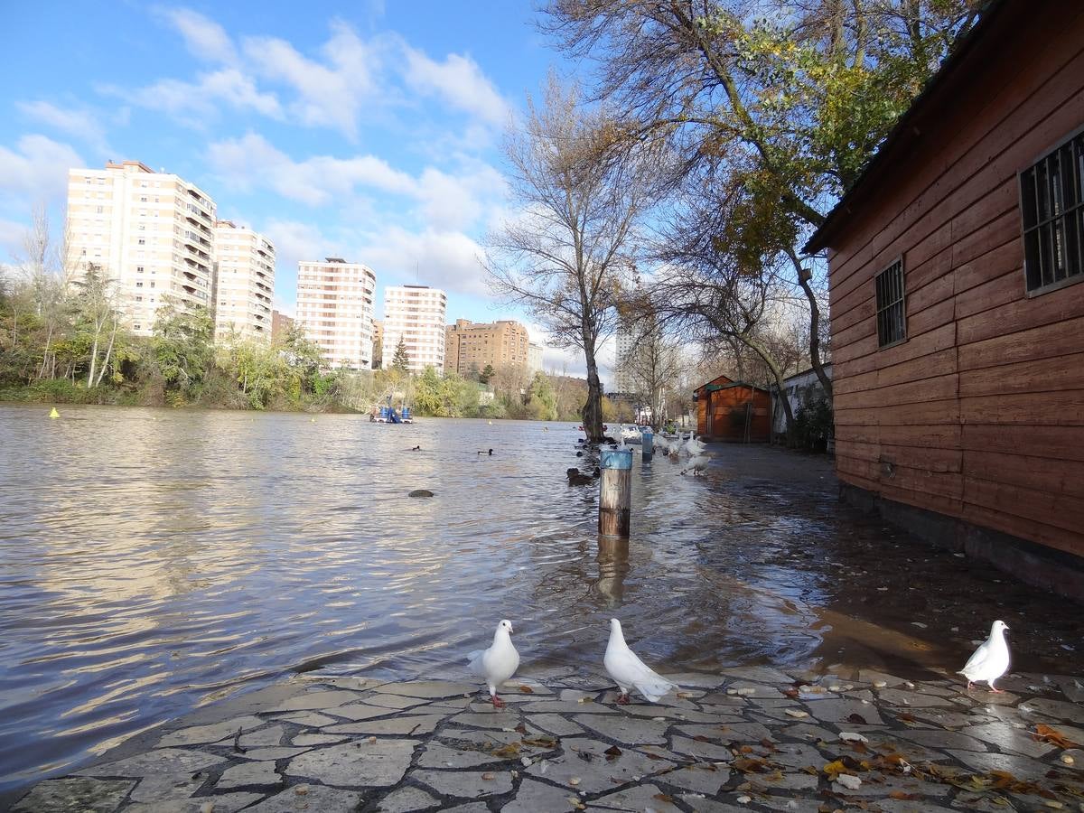 Aumenta el caudal del Pisuerga a su paso por Valladolid