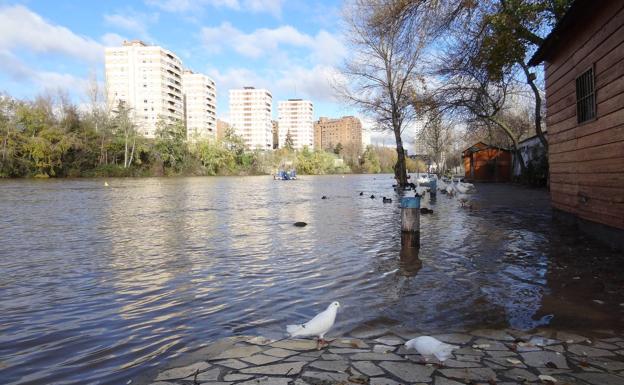 El Pisuerga anega sus paseos inferiores y el dique de Las Aceñas en Valladolid
