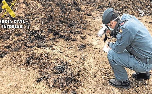 La Guardia Civil reorganiza el Seprona de Ayllón pese a la oposición vecinal