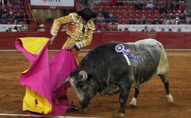 Cinco de los ocho pregoneros del Carnaval de Ciudad Rodrigo ya tienen nombre propio