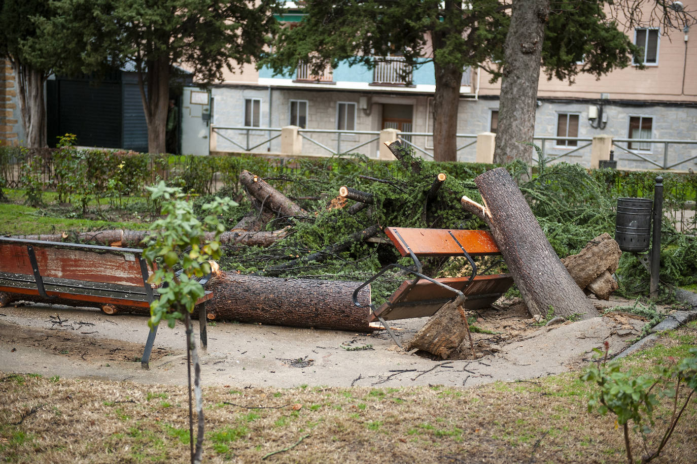 Efectos del vendaval en la ciudad