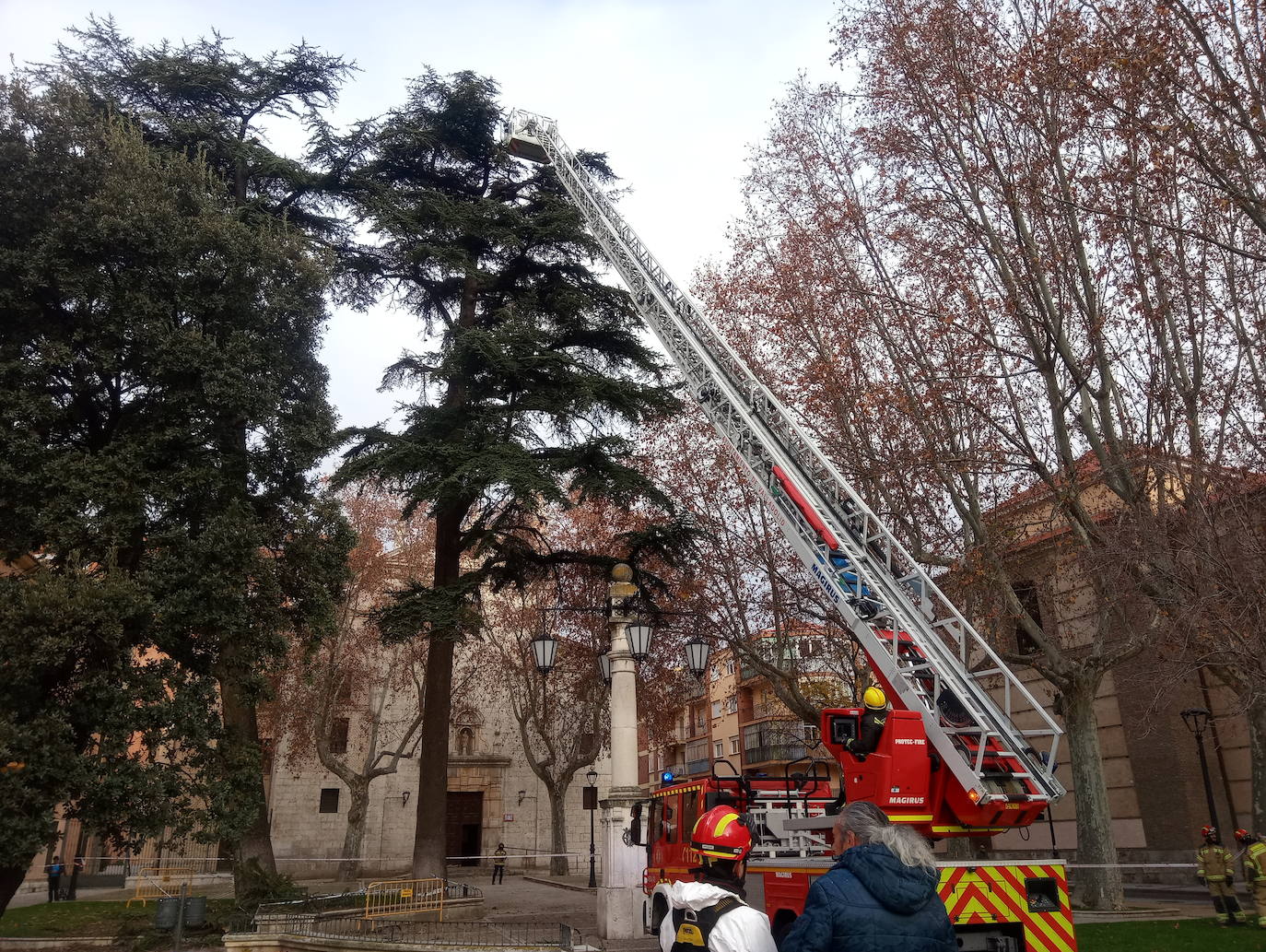 Los bomberos retiran dos nidos de cigueña en la Plaza Trinidad de Valladolid