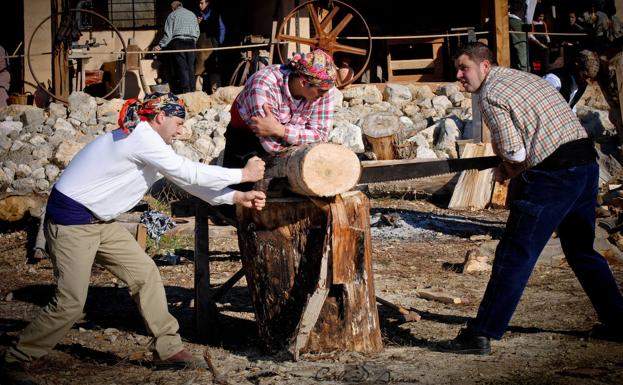 Planes imprescindibles para este fin de semana en la provincia de Valladolid