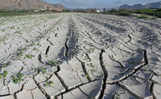 La sequía marca un año en el que el campo se siente blanco de críticas