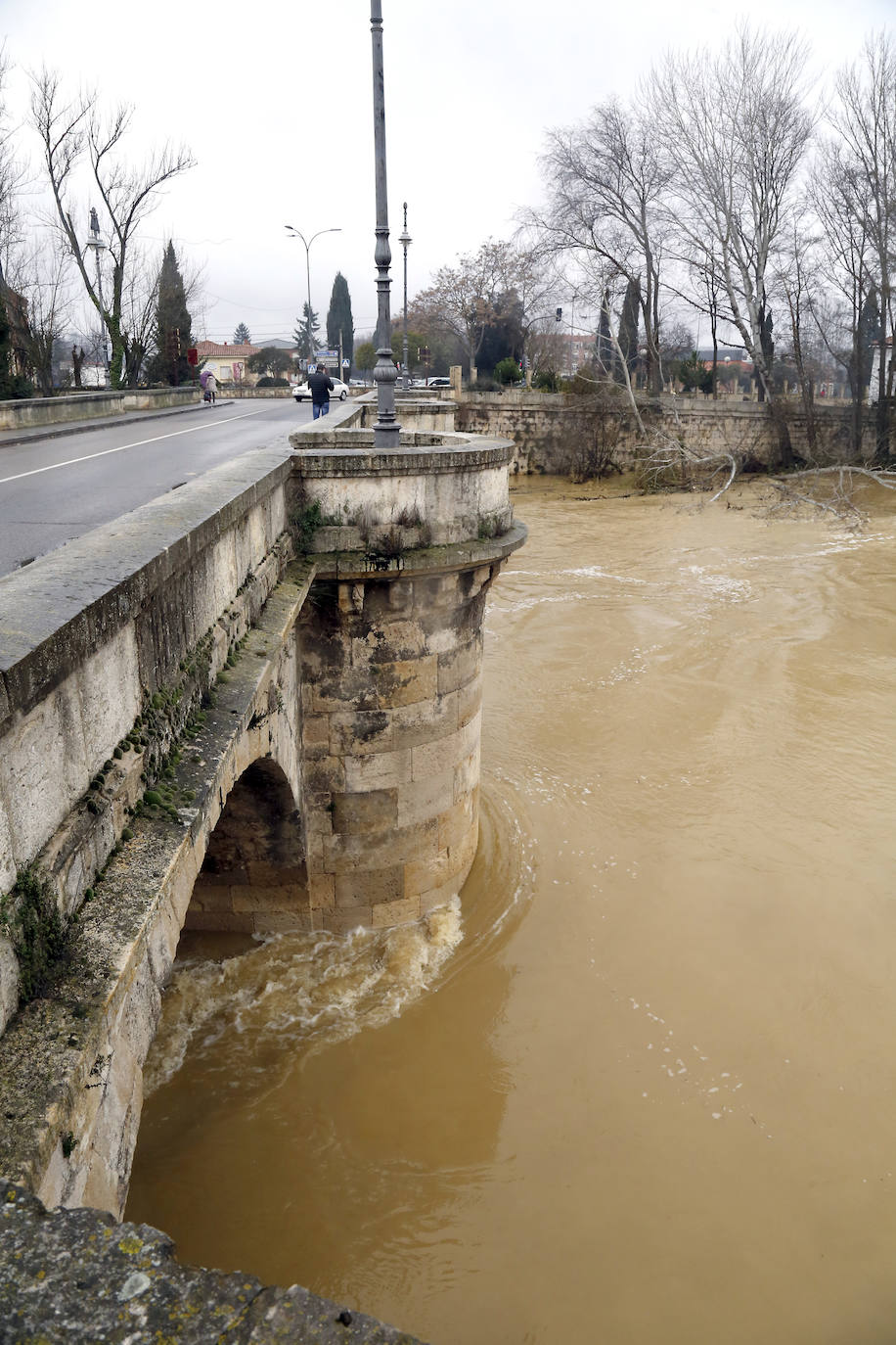 Crecida del río Carrión en Palencia capital