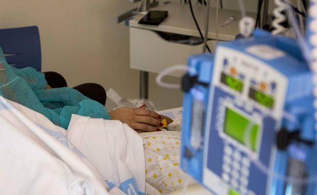 Sanidad impartirá a sus profesionales una formación de «alta calidad» en paliativos