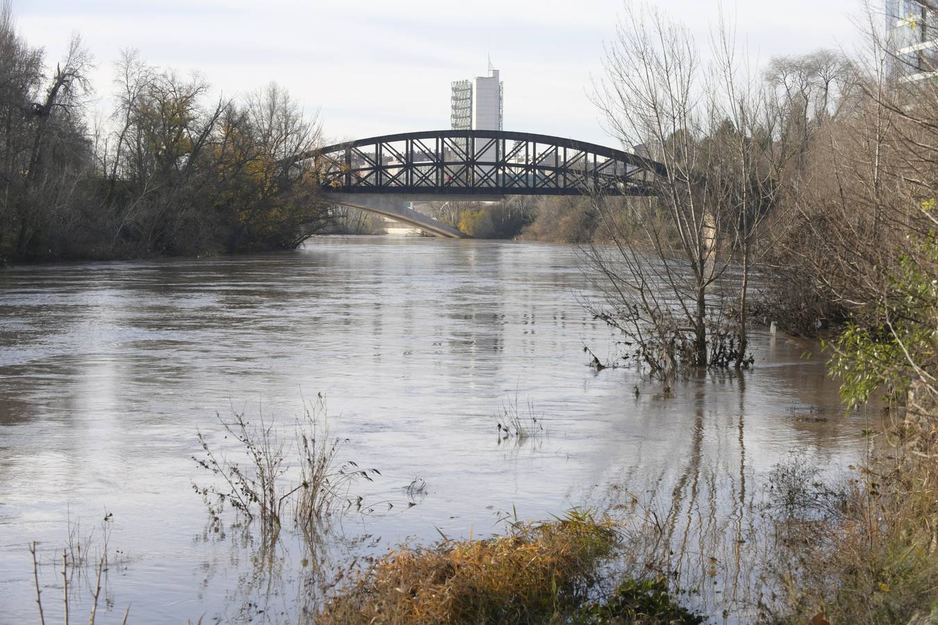 Baja el caudal del Pisuerga a su paso por Valladolid