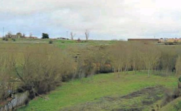 Catorce pueblos de Ávila estudian alegaciones contra la ampliación de una macrogranja