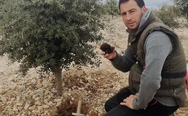 La trufa demuestra que la Ribera del Duero no es solo territorio de la uva