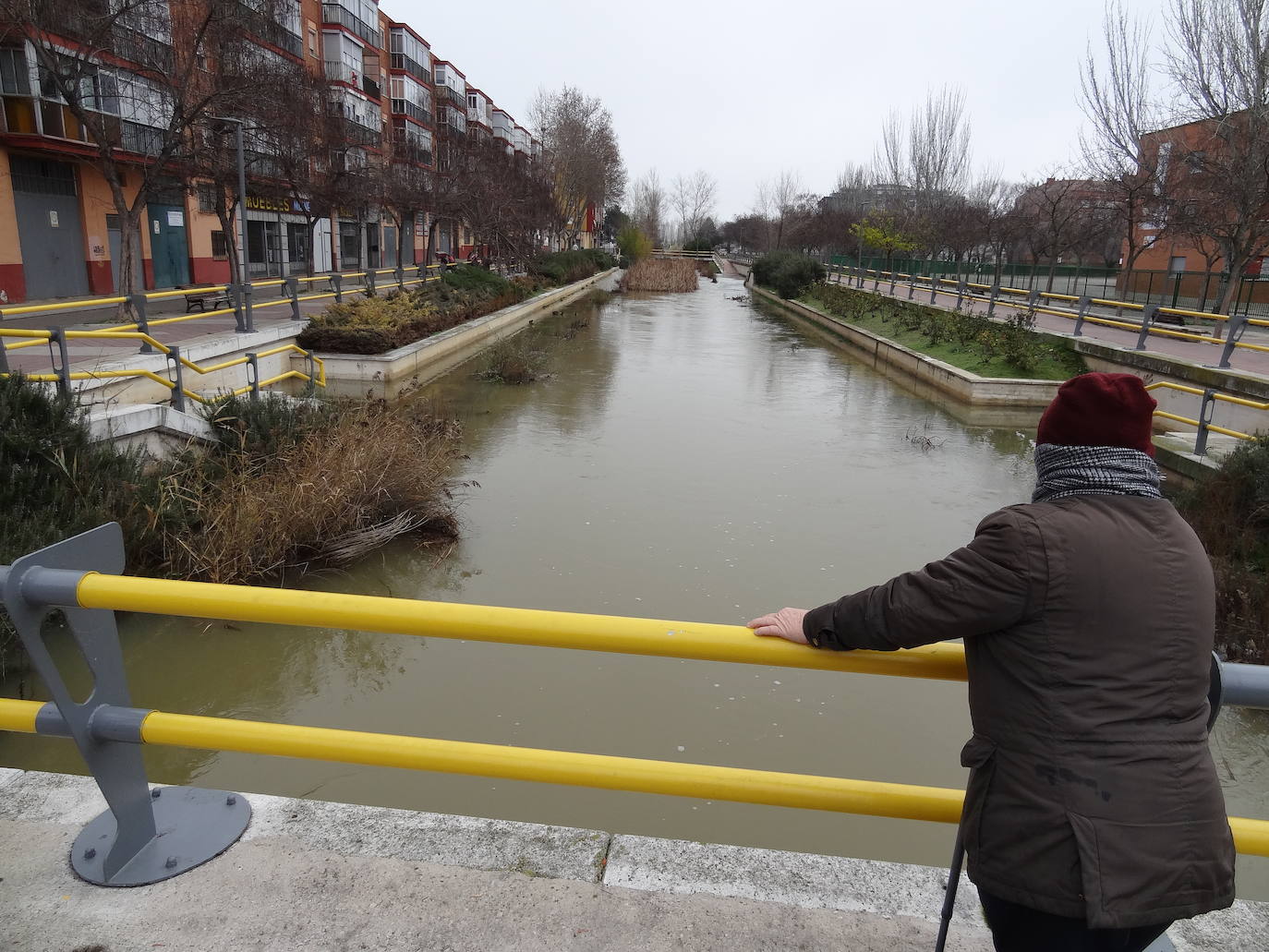 Los ríos Pisuerga y Esgueva a la altura de Valladolid el día de Navidad