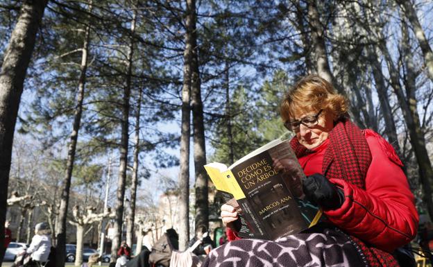 Un libro y una silla para protestar contra la tala de 73 árboles en el parque de Jardinillos en Palencia