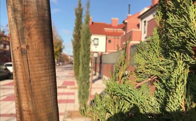 Juega con nosotros a descubrir la última calle de Valladolid del año